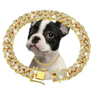 Detail showing a 13mm gold plated rhinestone Cuban link dog collar on a bulldog puppy
