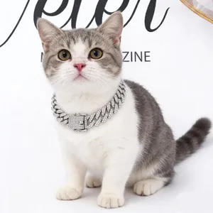 Detailed macro view of a silver-toned iced-out Cuban link chain collar worn by a cat.