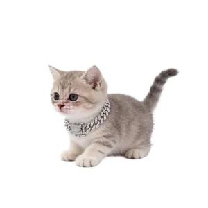 Sparkling rhinestone cuban link pet collar on a cute kitten, silver hip hop style