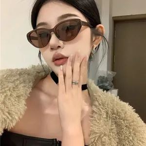 Occhiali da sole cat-eye marroni alla moda da donna in un elegante stile retrò chic