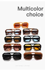Detailed view showcasing multiple color options of irregular double-bridge sunglasses