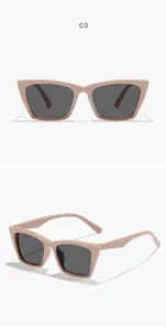 Viste frontale e laterale di occhiali da sole cat-eye con montatura beige e lenti grigie