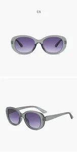 Occhiali da sole ovali rétro con montatura grigia e lenti sfumate viola nel colore C5