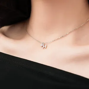Detailed view of S925 sterling silver initial H necklace with crystal pendant