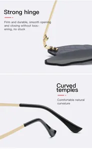 Detail view of the strong metal hinges and curved temples on dragonfly wing sunglasses