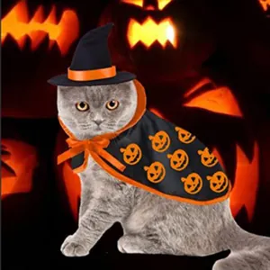 Dettaglio del costume di Halloween per gatti con mantello a zucche e cappello da mago
