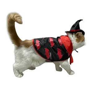 Dettaglio gatto con mantello e cappello da mago di Halloween con stampa pipistrello rosso e nera