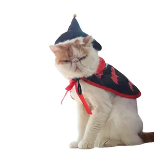 Dettaglio di un gatto con cappello da mago e mantello con pipistrelli rossi