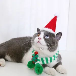 Détail d'un chat portant une écharpe de Noël rayée verte et un chapeau de Père Noël