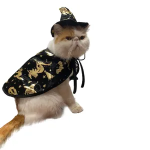 Detailed view of cat wearing black Halloween wizard cloak with gold witch pattern