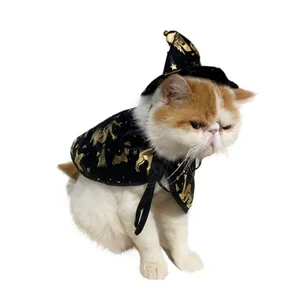 Detail view of a cat wearing a black and gold Halloween witch cloak and hat