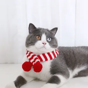 Gros plan d'une écharpe de Noël tricotée à rayures rouges et blanches pour chat avec pompons
