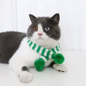 Joli chat domestique portant une écharpe tricotée rayée verte et blanche à pompons.