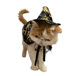 Detailed view of a cat wearing a black and gold Halloween witch hat and cloak set