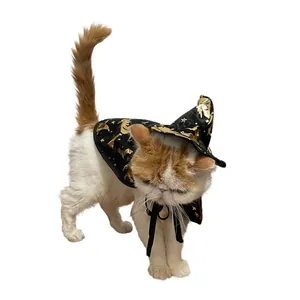 Detail view of a cat wearing a black Halloween wizard cloak with gold patterns