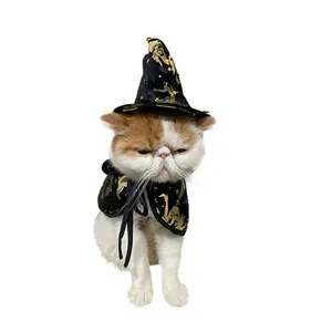 Detailed view of a golden star patterned Halloween wizard cloak and hat on a cat