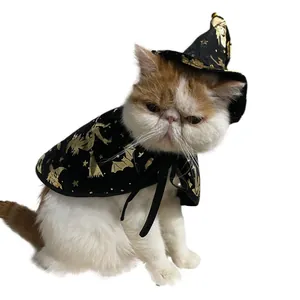 Halloween pet witch costume set featuring black cape and hat with gold foil patterns.
