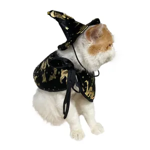 Detailed view of the Halloween witch cloak and hat costume on a cat