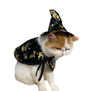 Detail view of a cat wearing a black Halloween wizard cloak and matching hat
