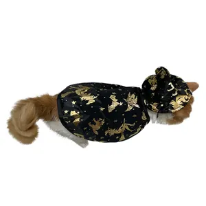 Detailed side view of cat wearing a black and gold Halloween witch cloak and hat.