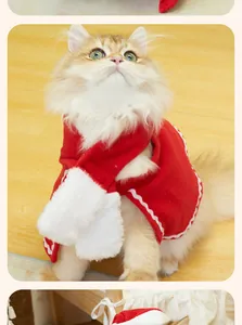 Close-up view of a cute long-haired cat wearing a festive red Christmas cape and scarf set