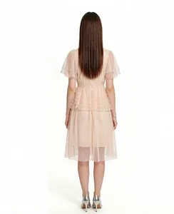 Detailed back view of a light pink embroidered mesh dress with tiered skirt layers