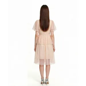 Back view of an elegant mesh dress with embroidered sequins and ruffles in light pink.