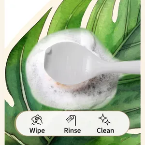 Tapis de bain en terre de diatomées en forme de feuille de Monstera, surface antidérapante facile