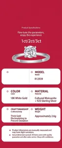 Detaillierte Spezifikationen des minimalistischen S925-Silber-Moissanit-Rings