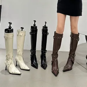 Detailed view of French retro pointed toe knee-high boots with silver studs and buckles