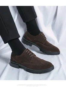 Braune Herren-Brogue-Schuhe aus Wildleder mit klassischer Flügelkappen-Perforation und Schnürung