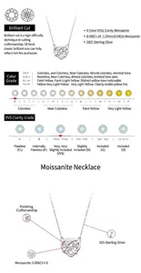 Gedetailleerde grafiek van S925 zilveren hartketting met Moissanite-specificaties