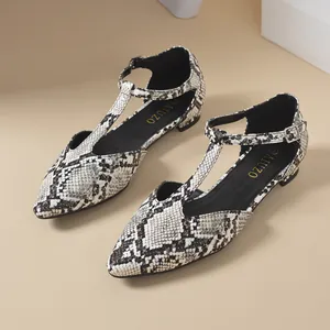 Close-up detail of elegant snakeskin pattern T-strap flat shoes with pointed toe