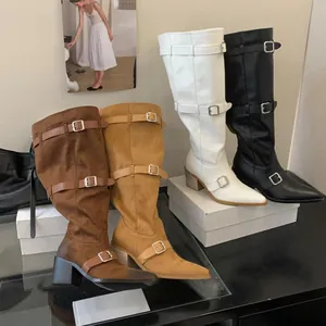 Close-up of stylish pointed toe pleated tall boots in four colors with decorative buckles