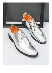 Shiny silver metallic men's pointed toe dress shoes for business or performance.