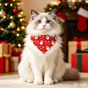 Ragdoll cat wearing a festive red Christmas bandana with Santa Claus pattern
