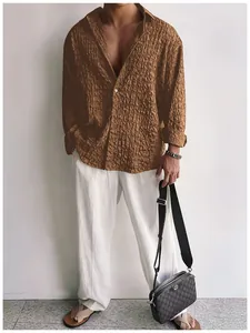 Camicia da uomo a maniche lunghe testurizzata marrone, top casual per primavera autunno