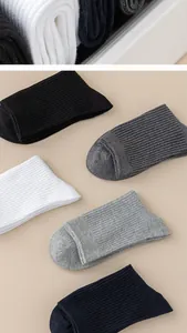High-quality detailed texture of men's ribbed mid-calf socks in various solid colors