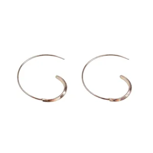 Einfache Mode Runde Creolen Leichte Minimalistische Legierung Geometrische Ohrhaken Chic Vielseitiger Schmuck Für Damen