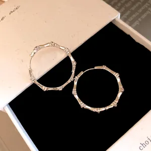 Close-up detail view of silver bamboo-joint hoop earrings with sparkling inlaid stones