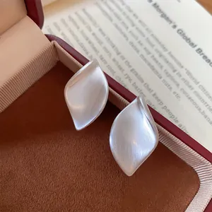 Detailansicht von gebürsteten silbernen Blattohrsteckern in einer luxuriösen roten Schatulle.