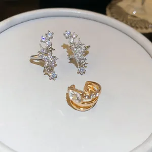 Detailaufnahme von funkelnden Zirkonia-Stern-Ohrklemmen und goldenem Ohrclip
