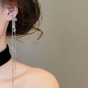 Vue détaillée d'élégantes boucles d'oreilles pendantes en argent avec des cristaux