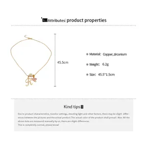 Vue détaillée montrant le matériau et la taille du collier avec pendentif R