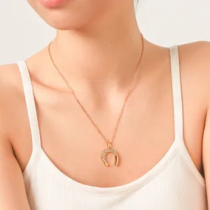 Vintage Gold Stainless Steel Horseshoe U-Shape Pendant Necklace Women Geometric Zirconia Inlaid Clavicle Chain Jewelry