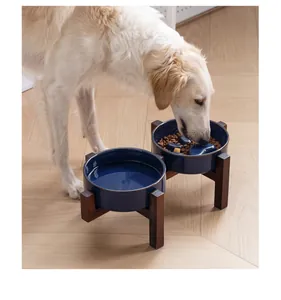 Grote Golden Retriever die uit verhoogde blauwe keramische hondenbakken eet