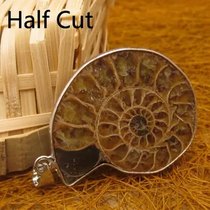 Natural ammonite fossil slice pendant with spiral pattern and silver frame
