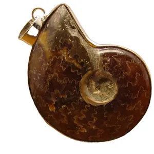 Natural ammonite fossil pendant necklace with unique spiral pattern and silver bail