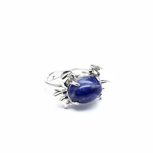 Detailansicht eines silbernen Krabbenrings mit einer blauen Einlage.