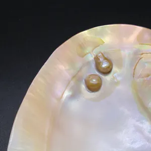 Vista de primer plano de la bandeja de concha natural iridiscente con perlas doradas